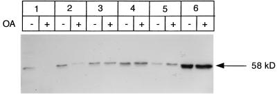 FIG. 8