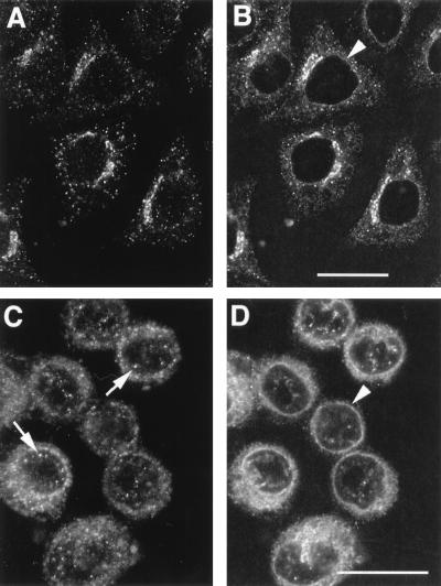FIG. 10