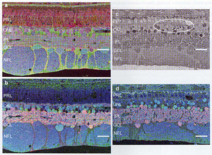 Fig. 9