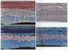 Fig. 9
