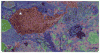 Fig. 14