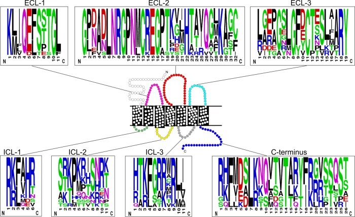 FIG 3