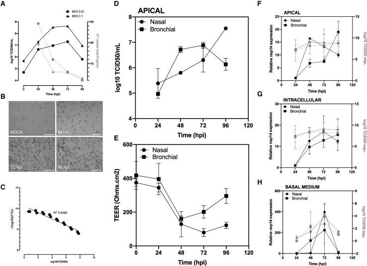 Figure 1