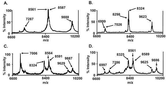 FIG. 2.