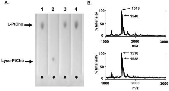 FIG. 3.