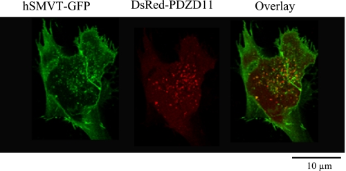 Fig. 4.