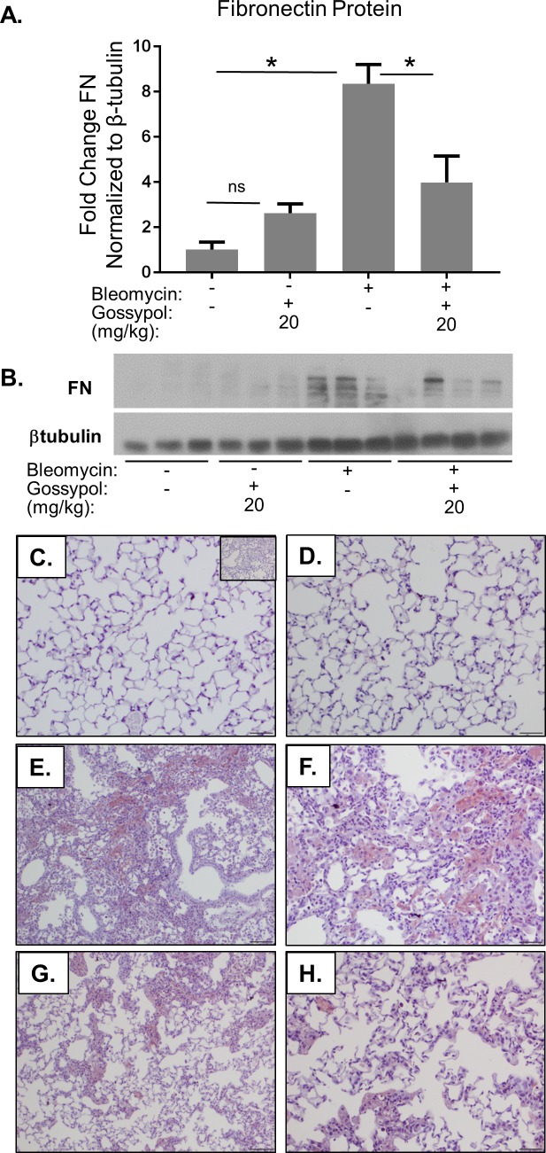 Fig 8