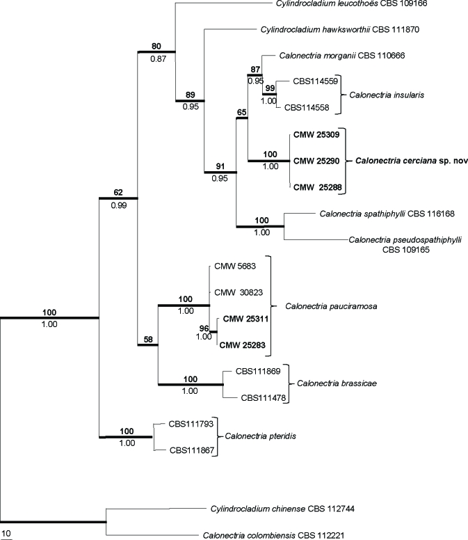 Fig. 2