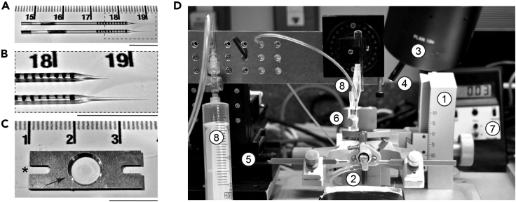 Figure 1