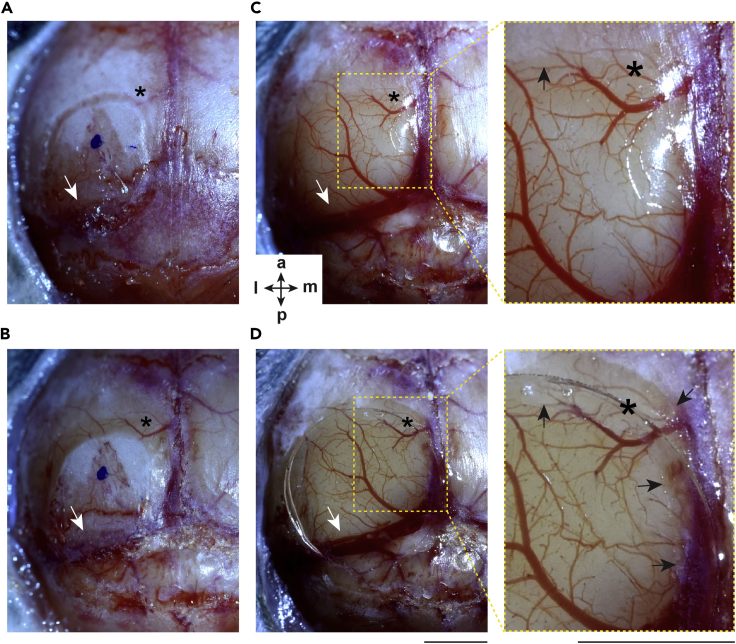 Figure 3