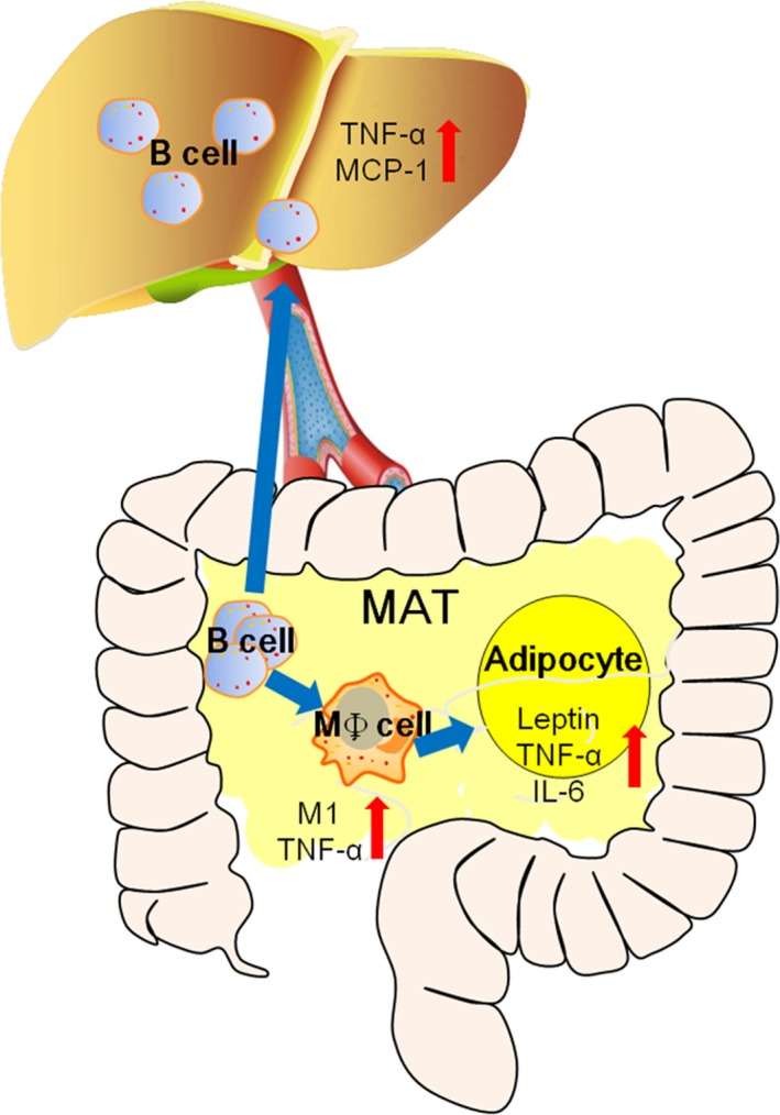 Figure 7