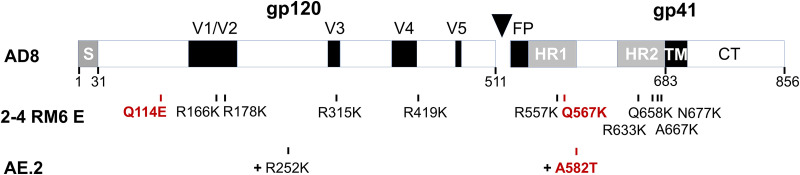 FIG 1