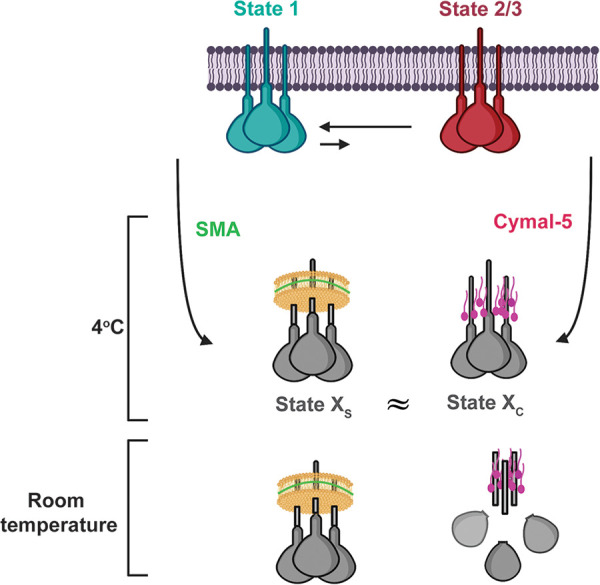 FIG 12