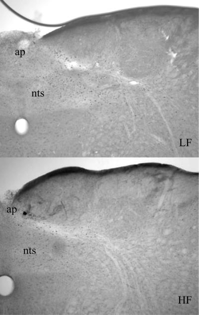 Figure 7b