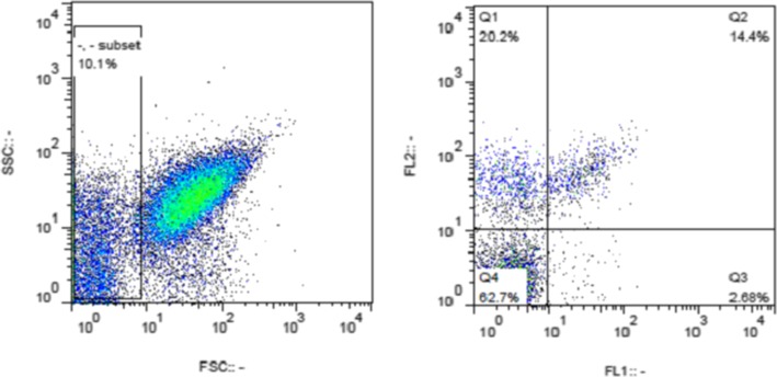 Fig. 2