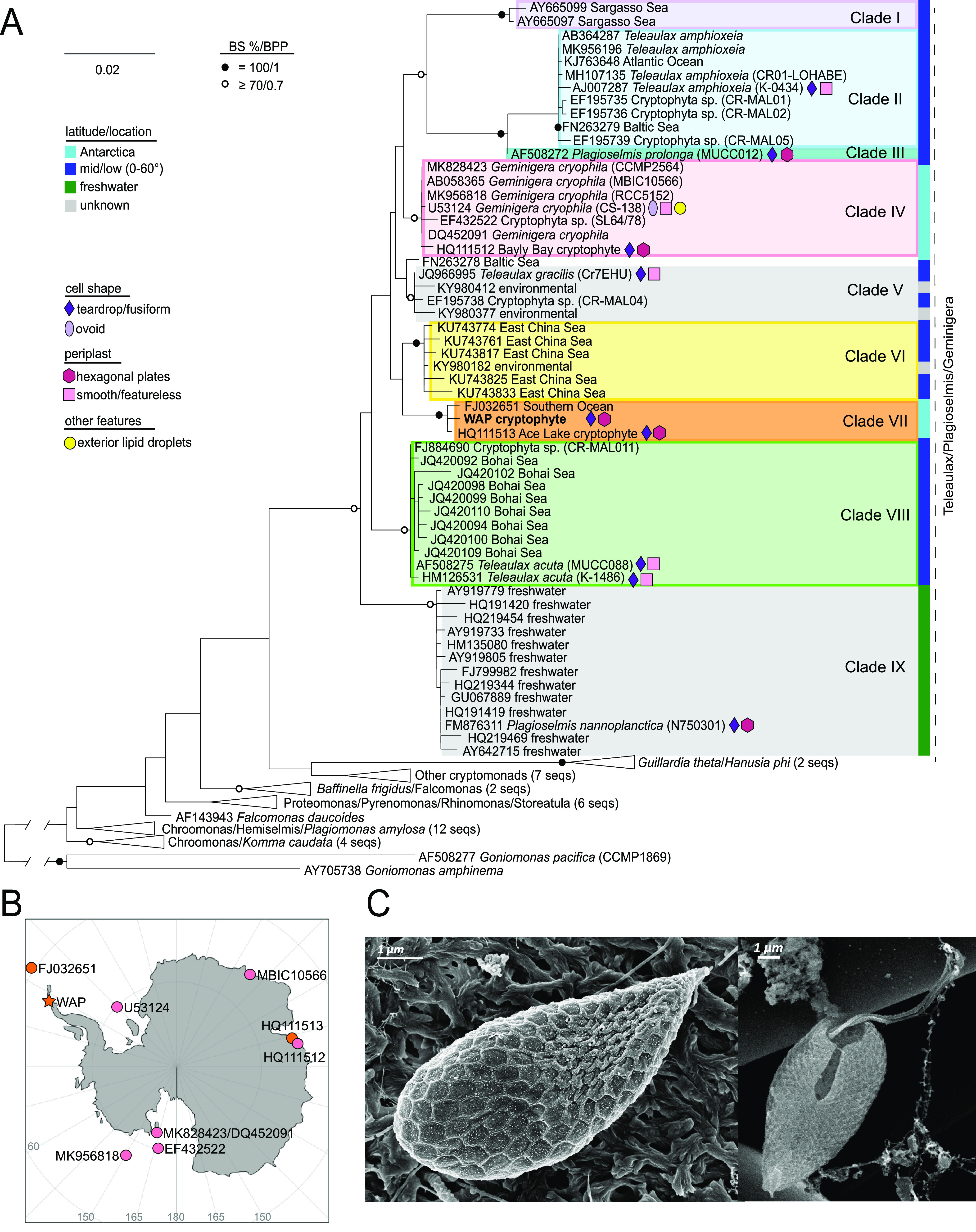 FIG 5