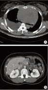 Fig. 1.