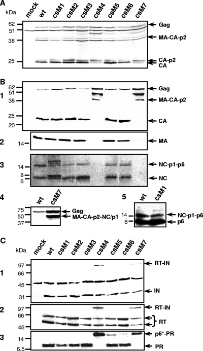 FIG. 4.