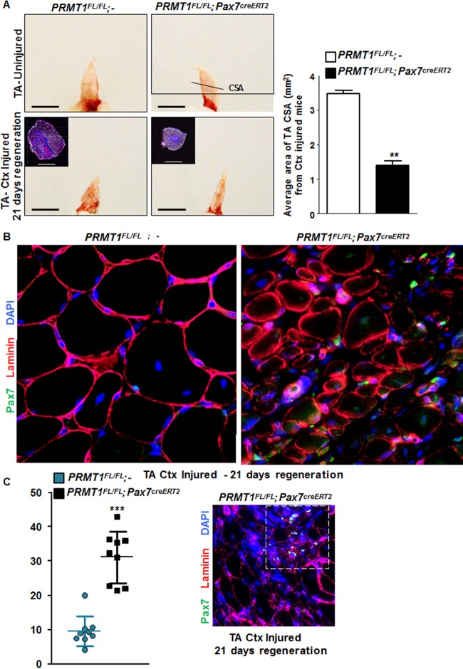 FIG 6