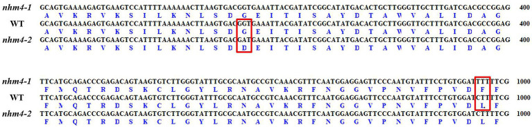 Figure 5