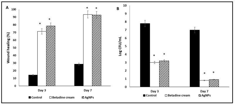 Figure 12