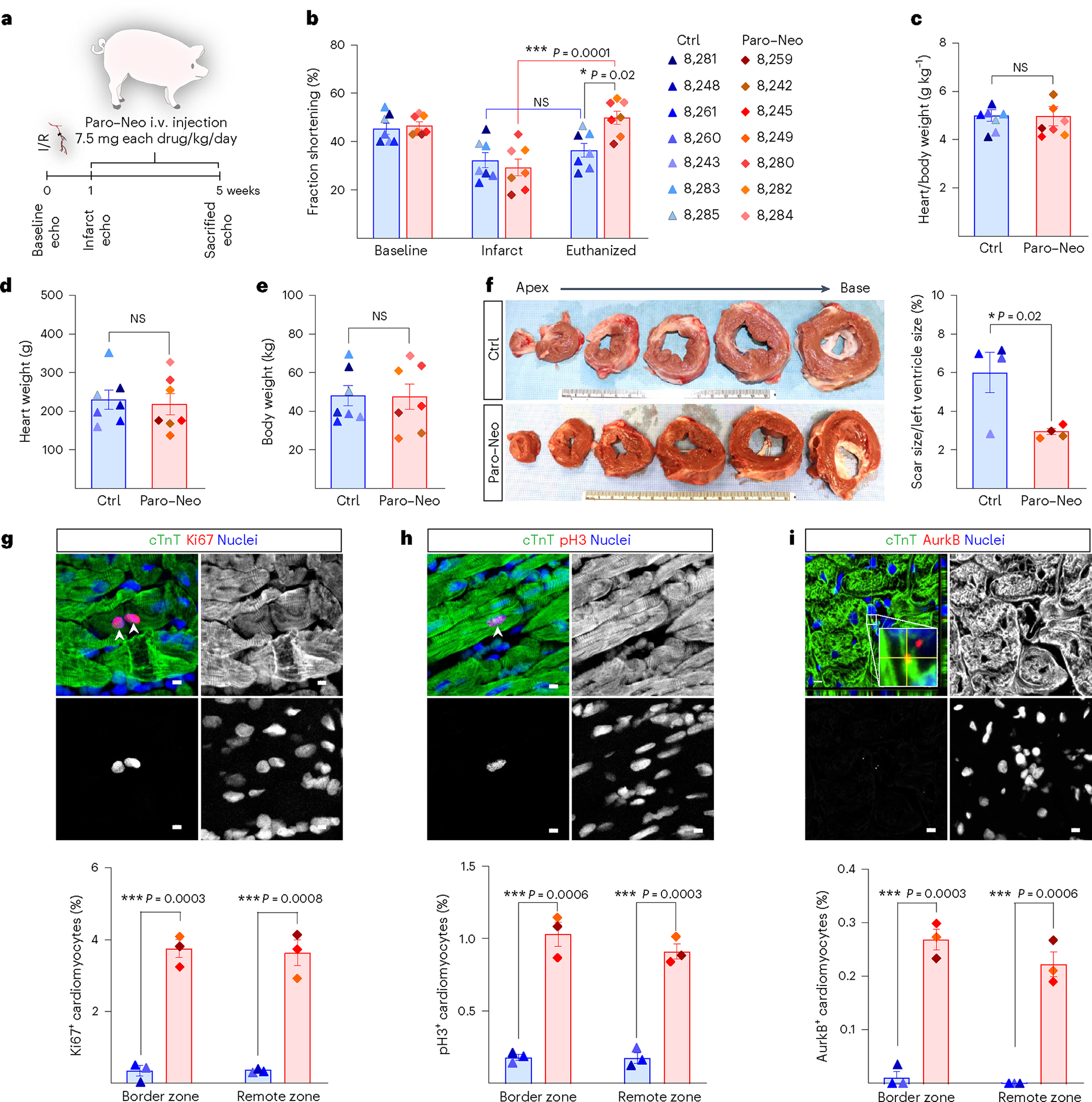 Fig. 7 |
