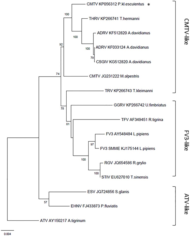 Fig 4