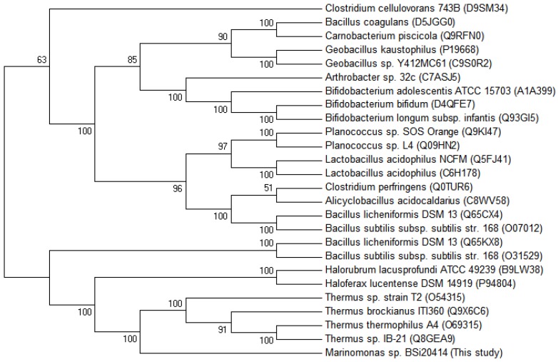 Figure 6