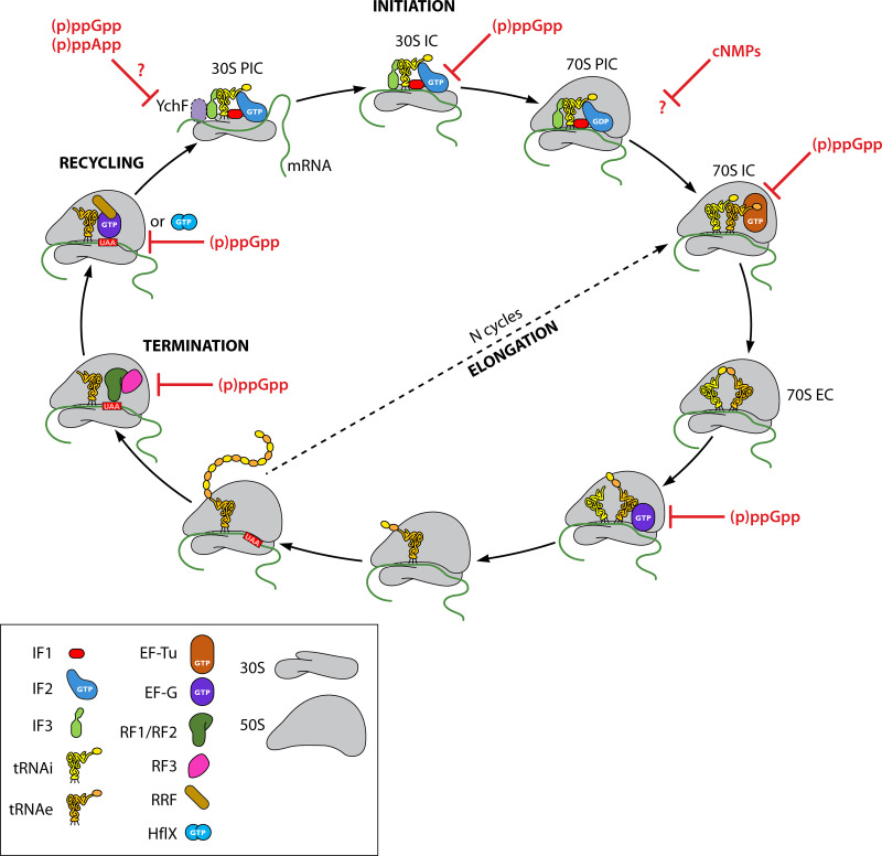 FIG 3