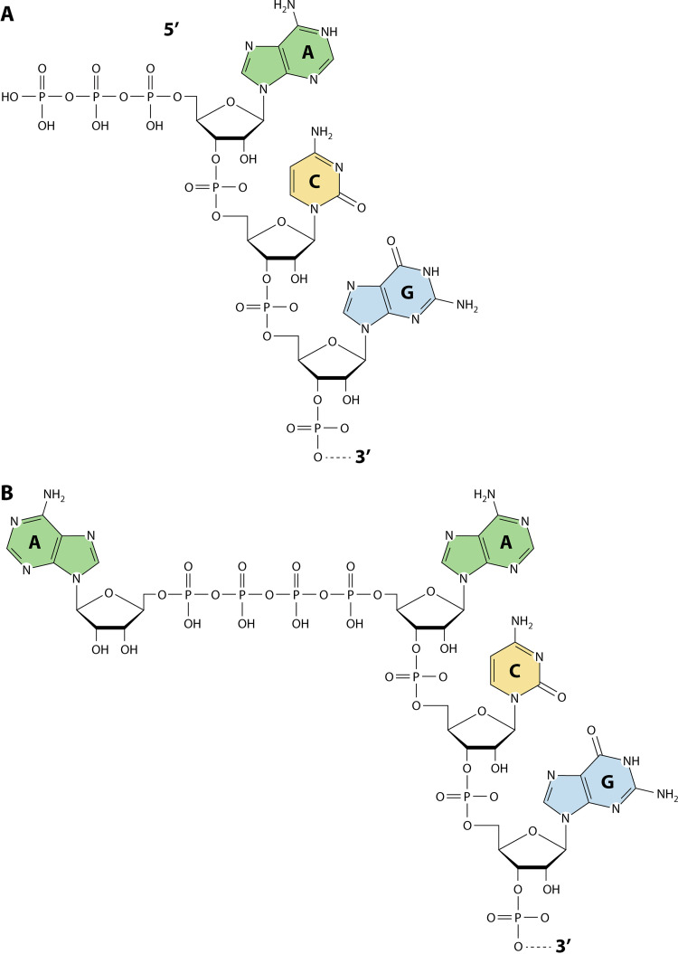 FIG 2