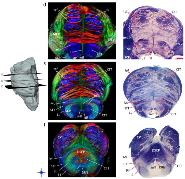 Fig. 6