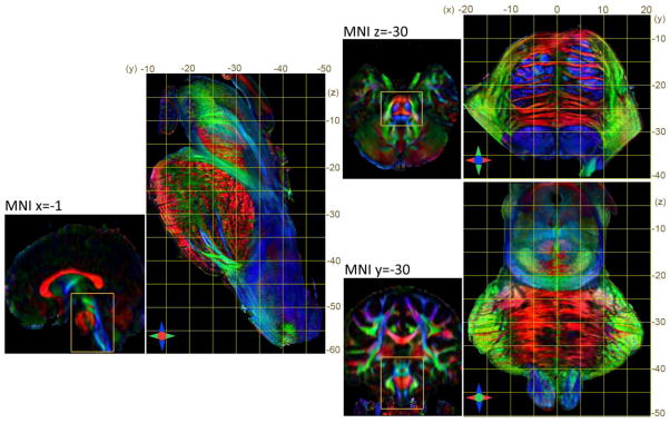 Fig. 8