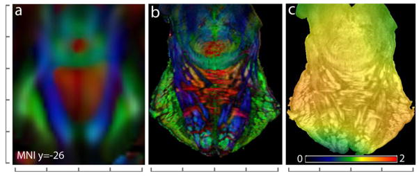 Fig. 7