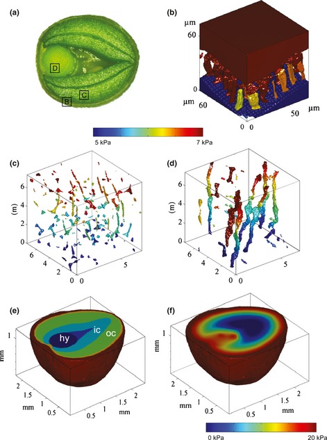 Fig 4