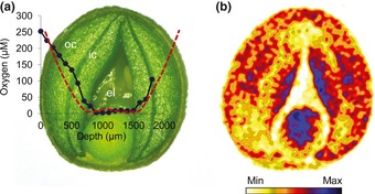 Fig 5