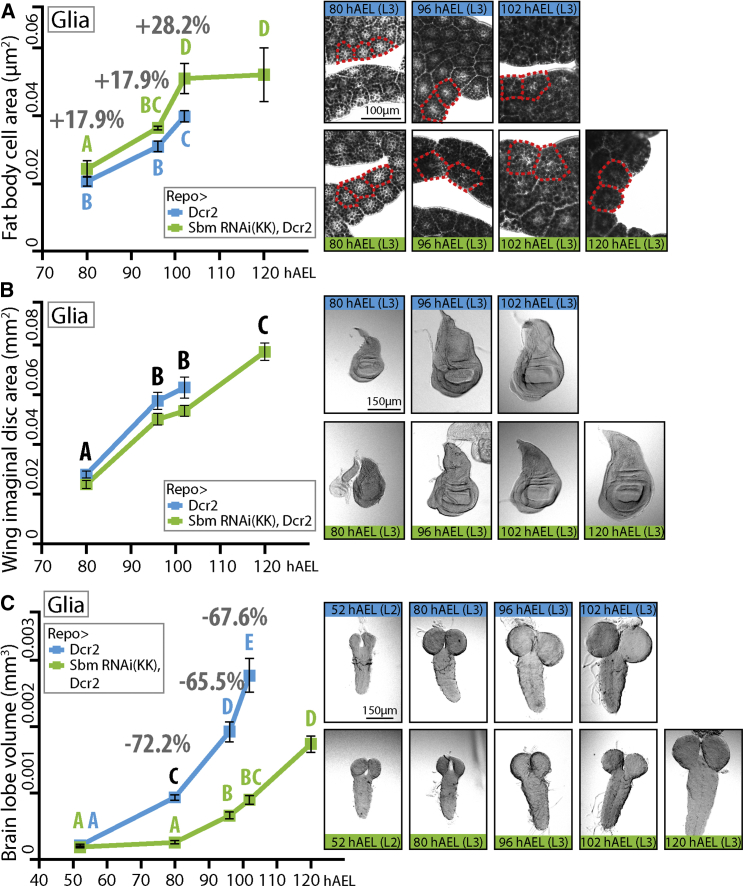 Figure 3