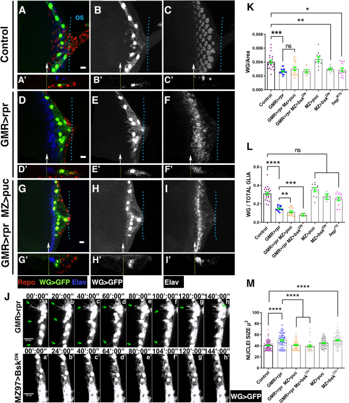 Fig 10