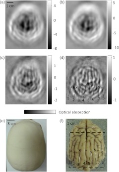 Fig. 3