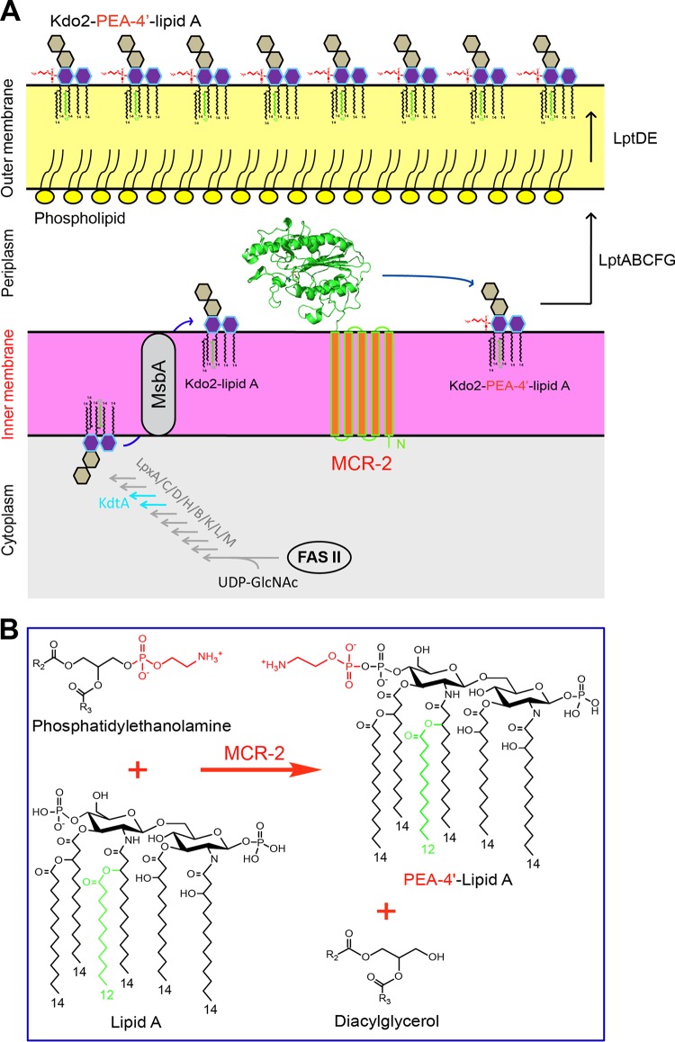 FIG 4 