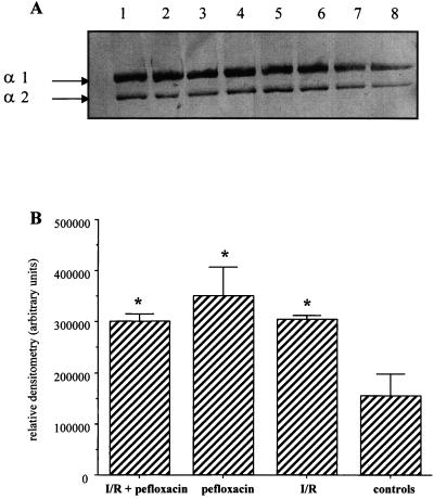 FIG. 6