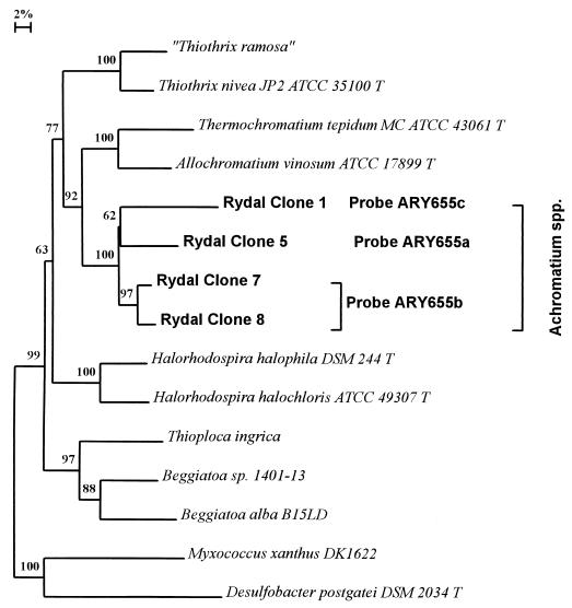 FIG. 1