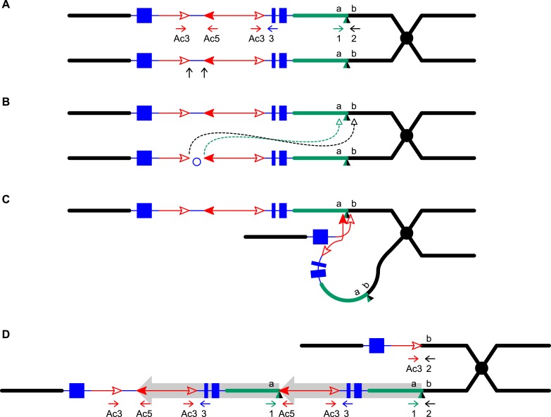 Figure 1—figure supplement 1.