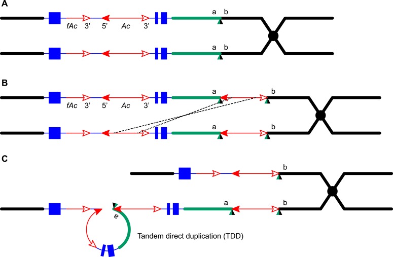 Figure 9.