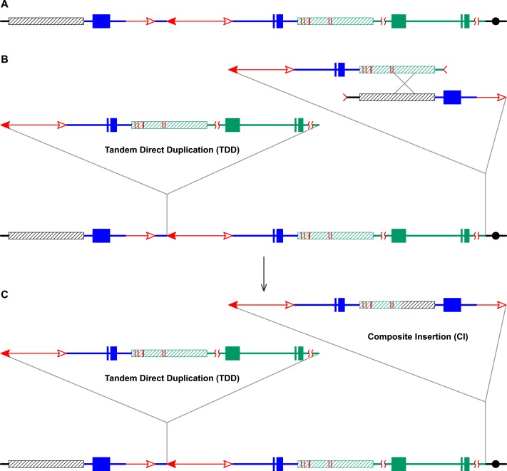 Figure 5.