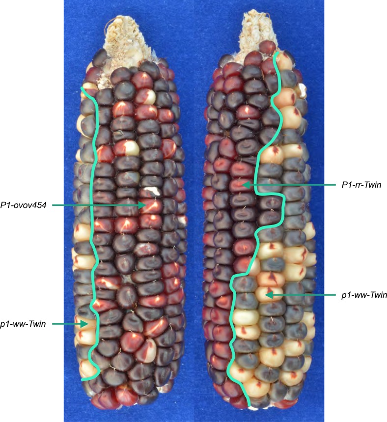 Figure 3.