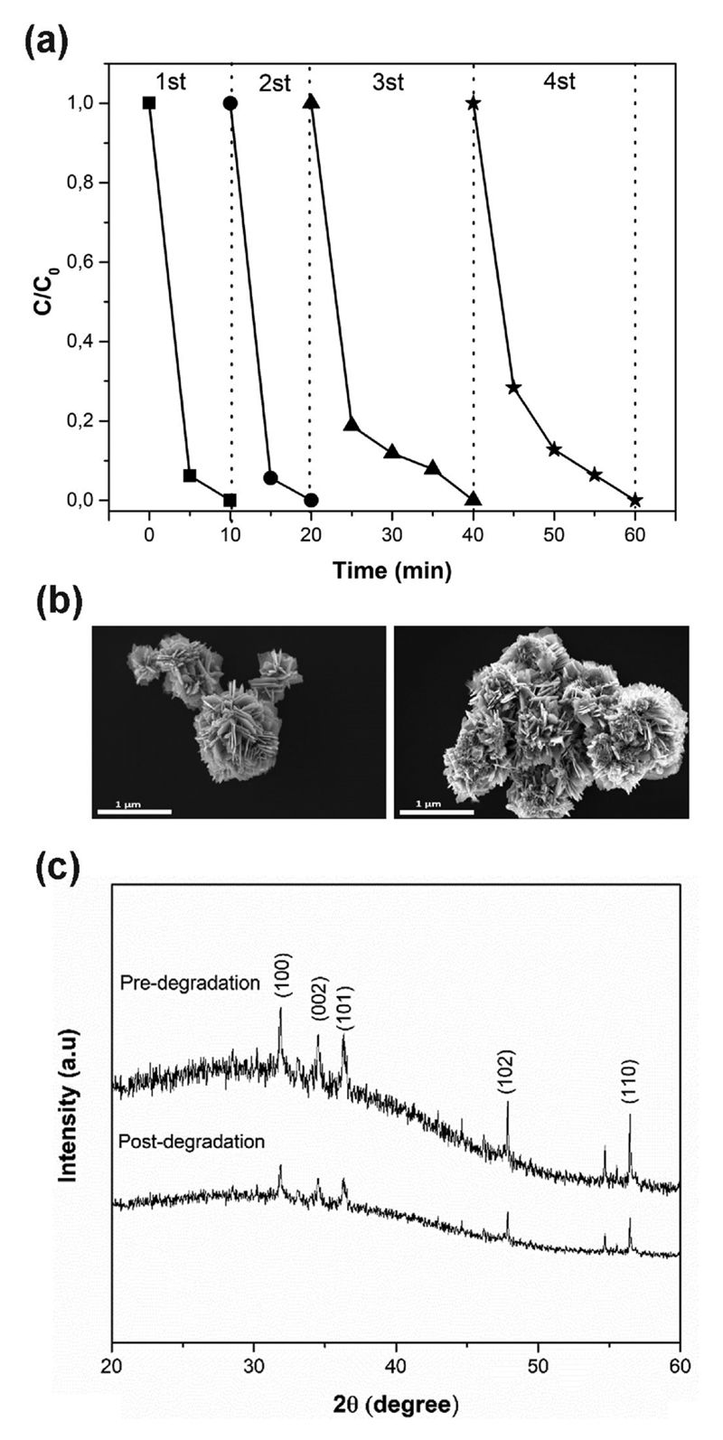 Fig. 10