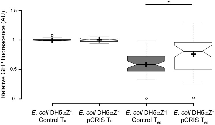 Figure 5.