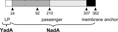 FIGURE 1.