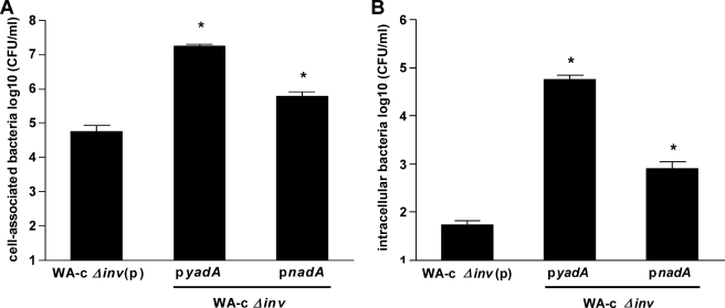 FIGURE 4.