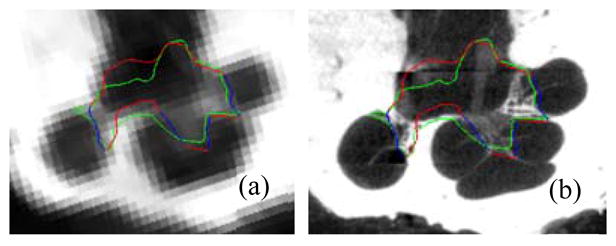 Fig. 5